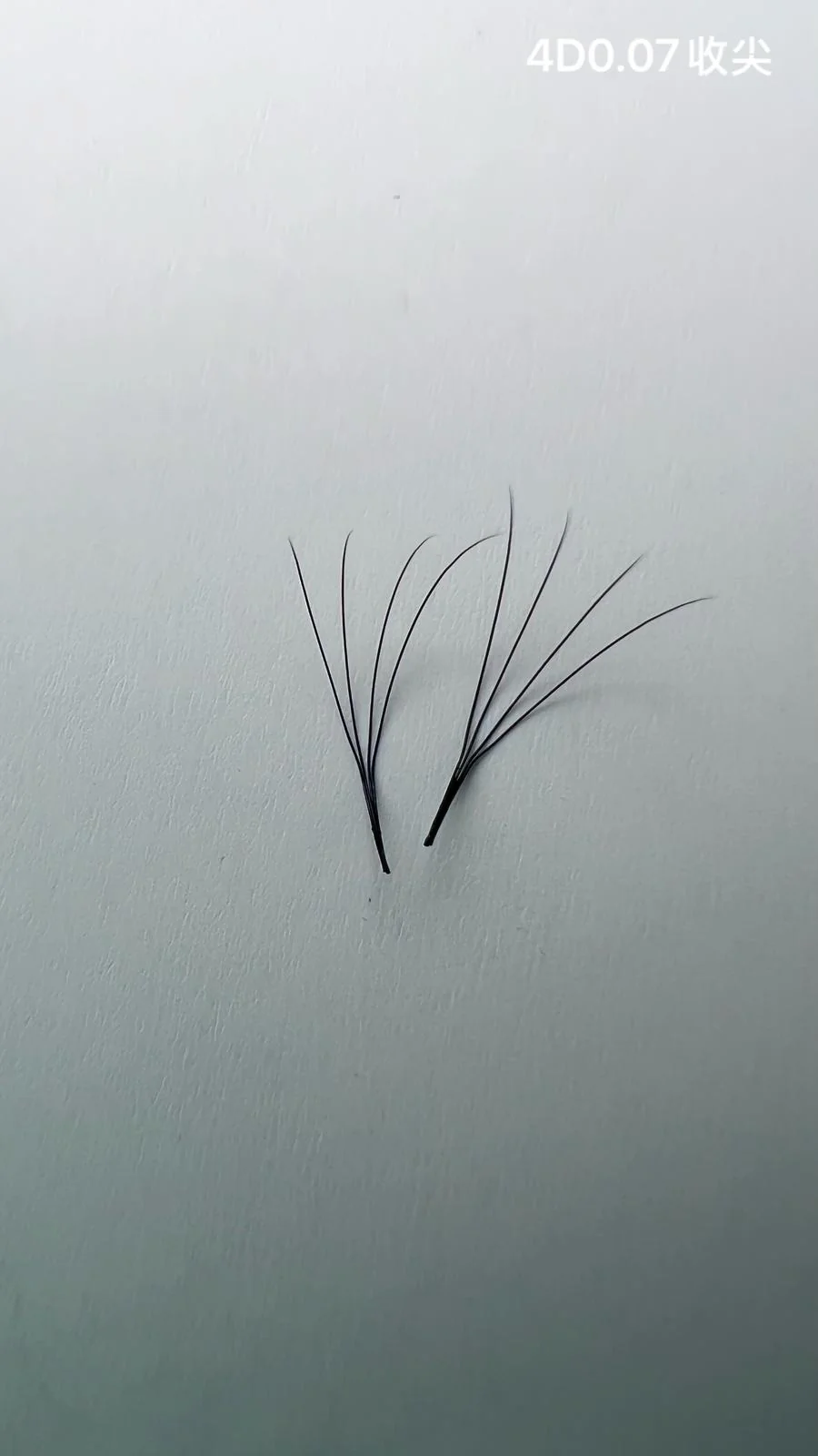 Jinyanhua Pointed Premade Fans 4D