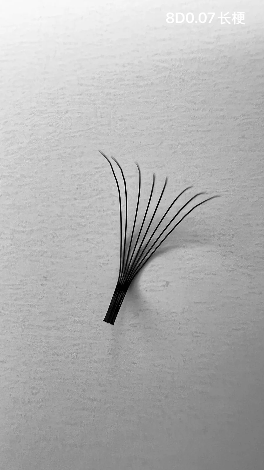 Jinyanhua Long Stem Premade Fans 8D