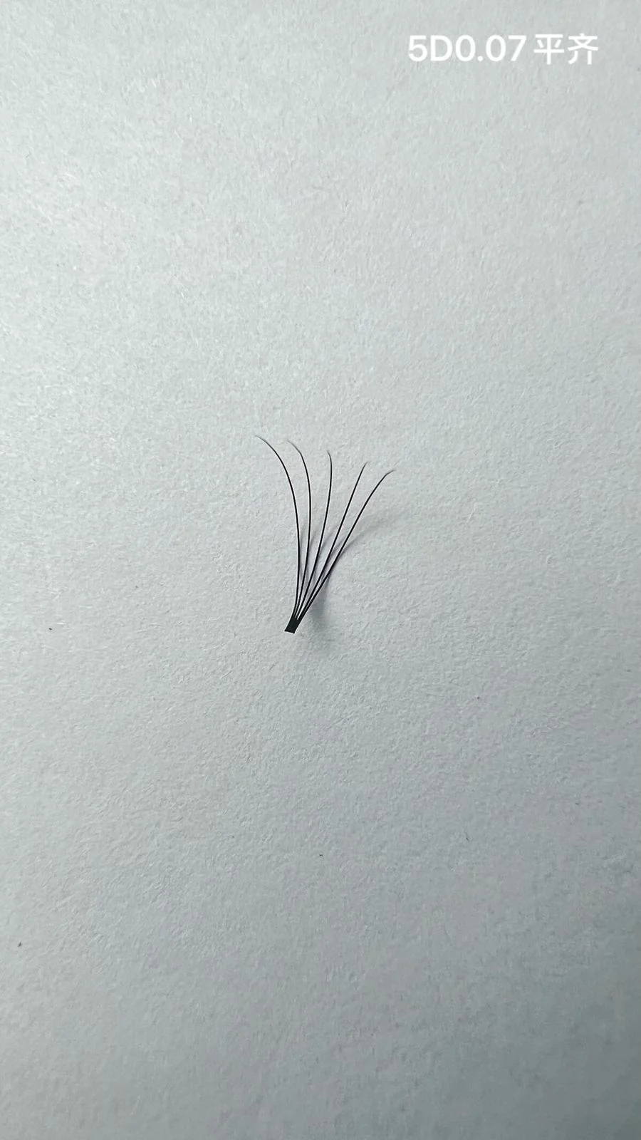 Jinyanhua Short Stem Premade Fans 5D
