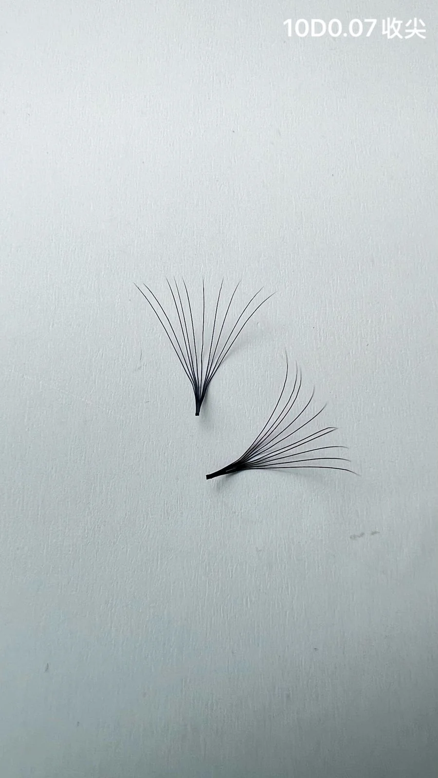 Jinyanhua Pointed Premade Fans 10D