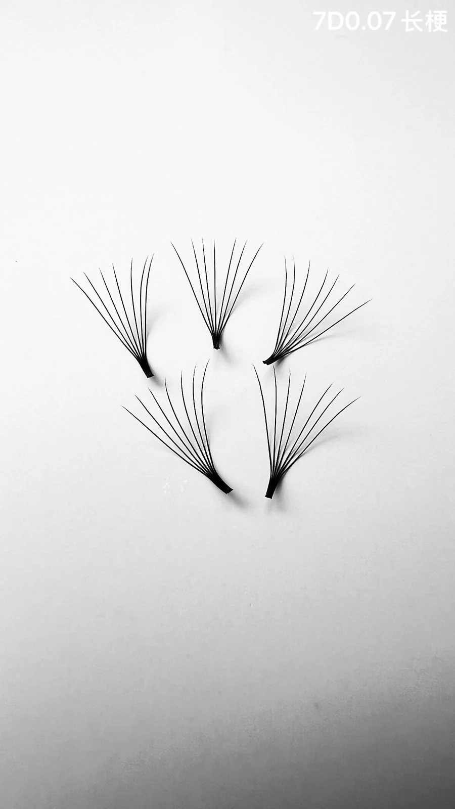 Jinyanhua Long Stem Premade Fans 7D