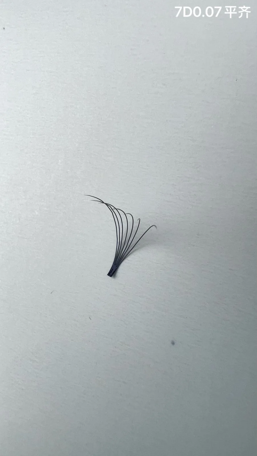 Jinyanhua Short Stem Premade Fans 7D
