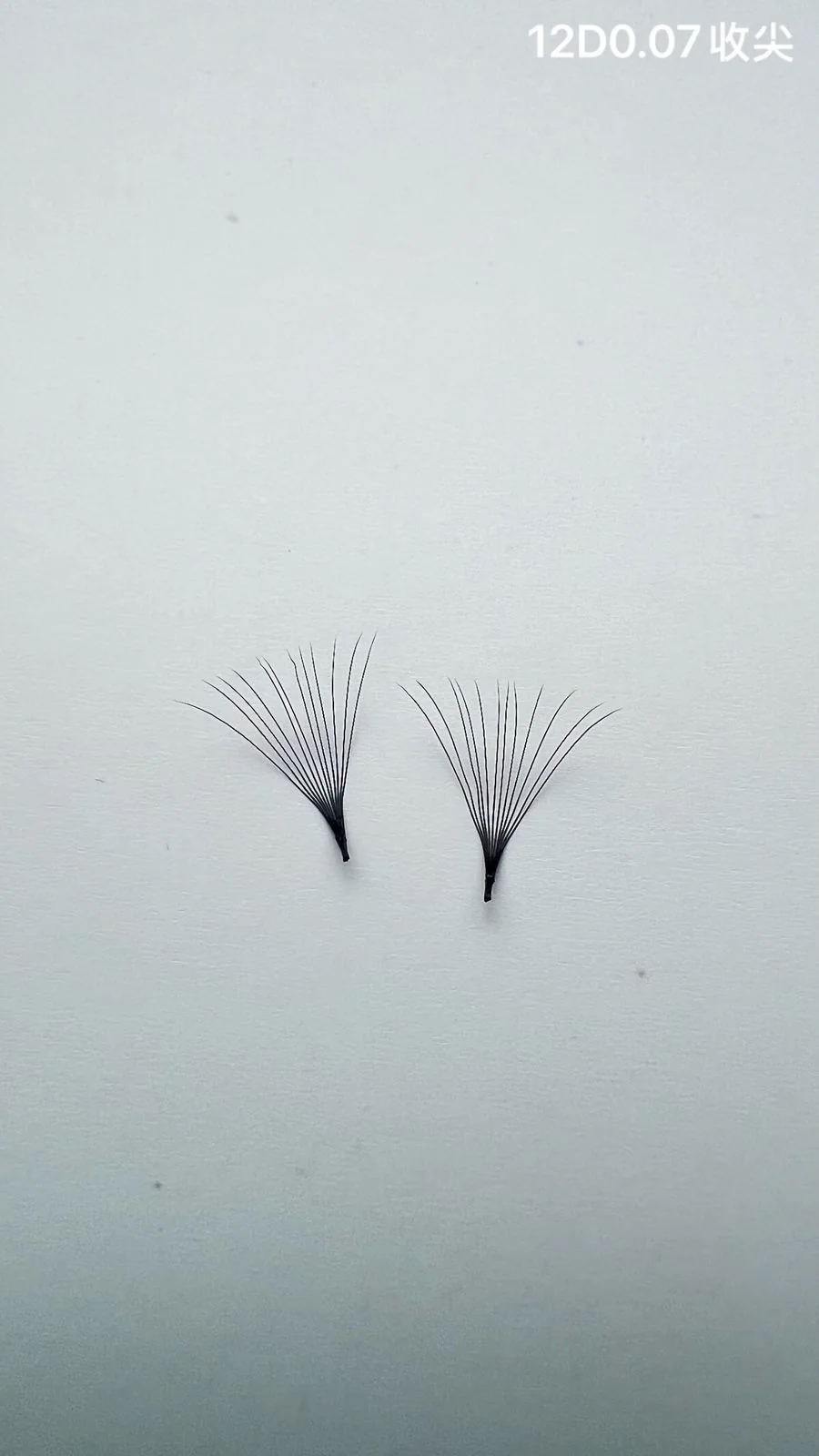 Jinyanhua Pointed Premade Fans 12D 2D