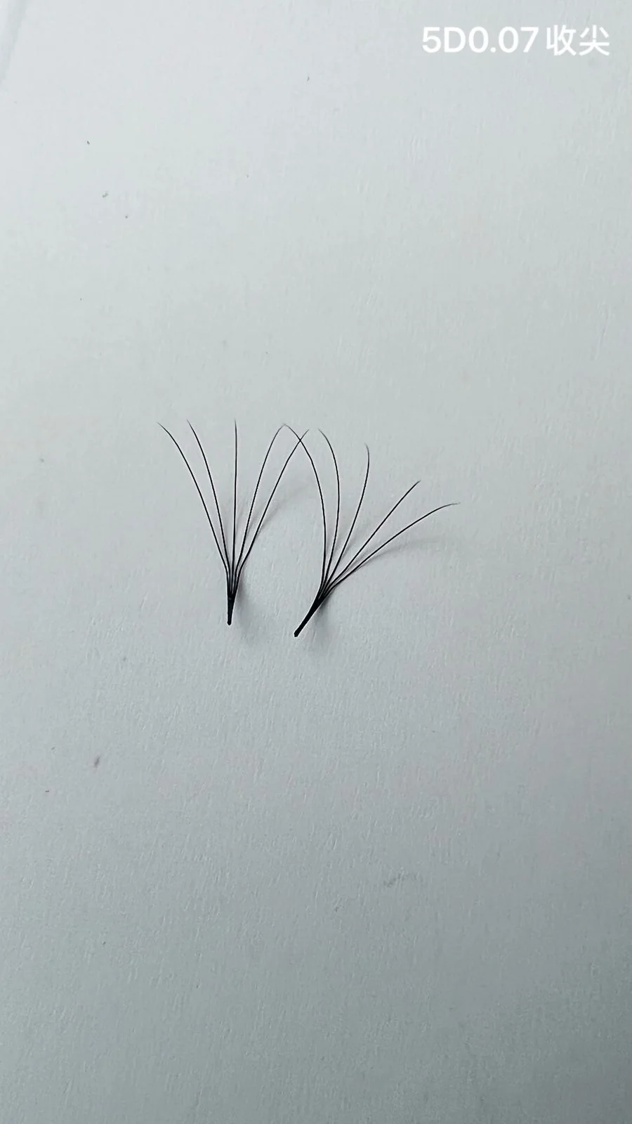 Jinyanhua Pointed Premade Fans 5D