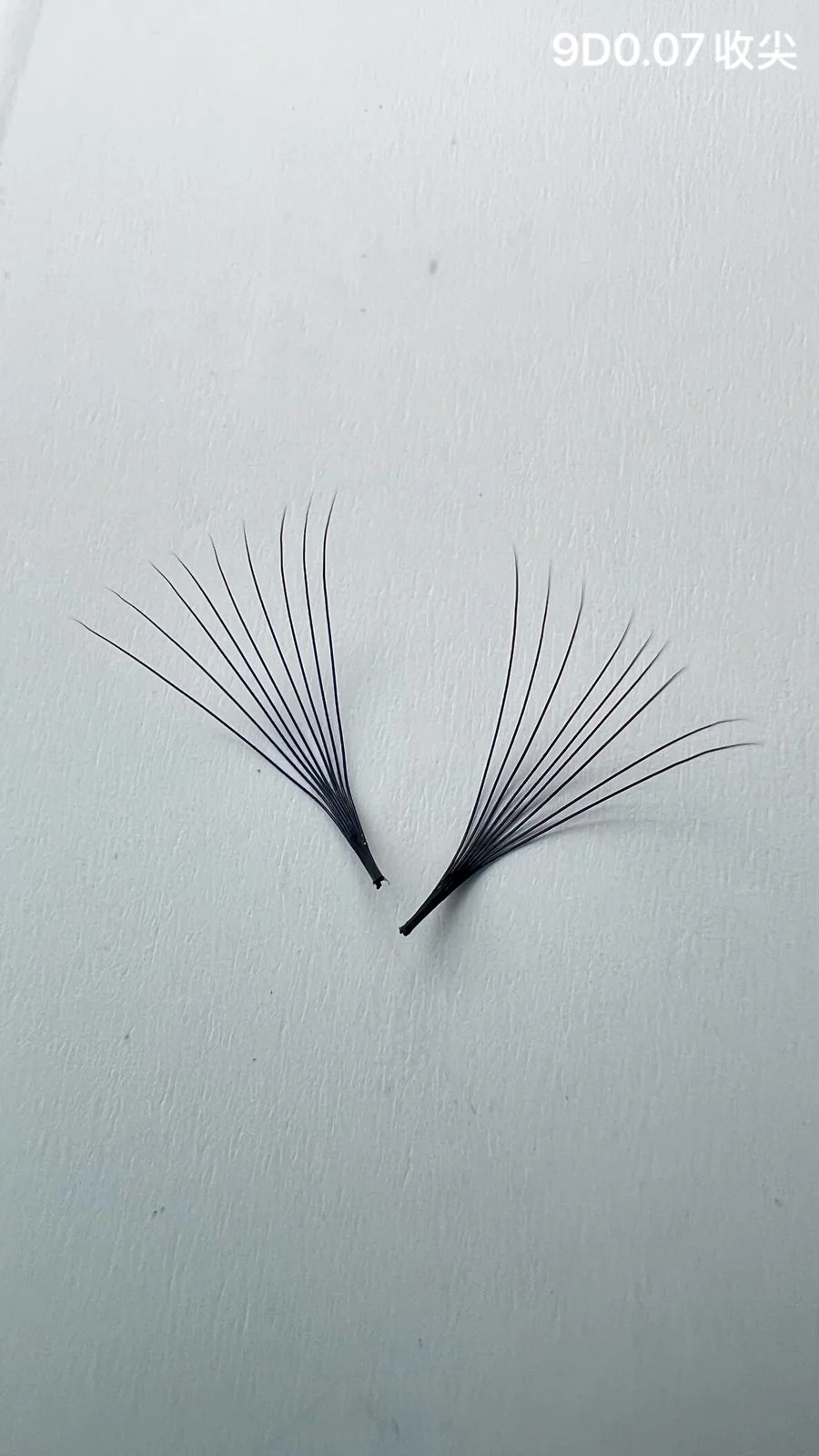 Jinyanhua Pointed Premade Fans 9D