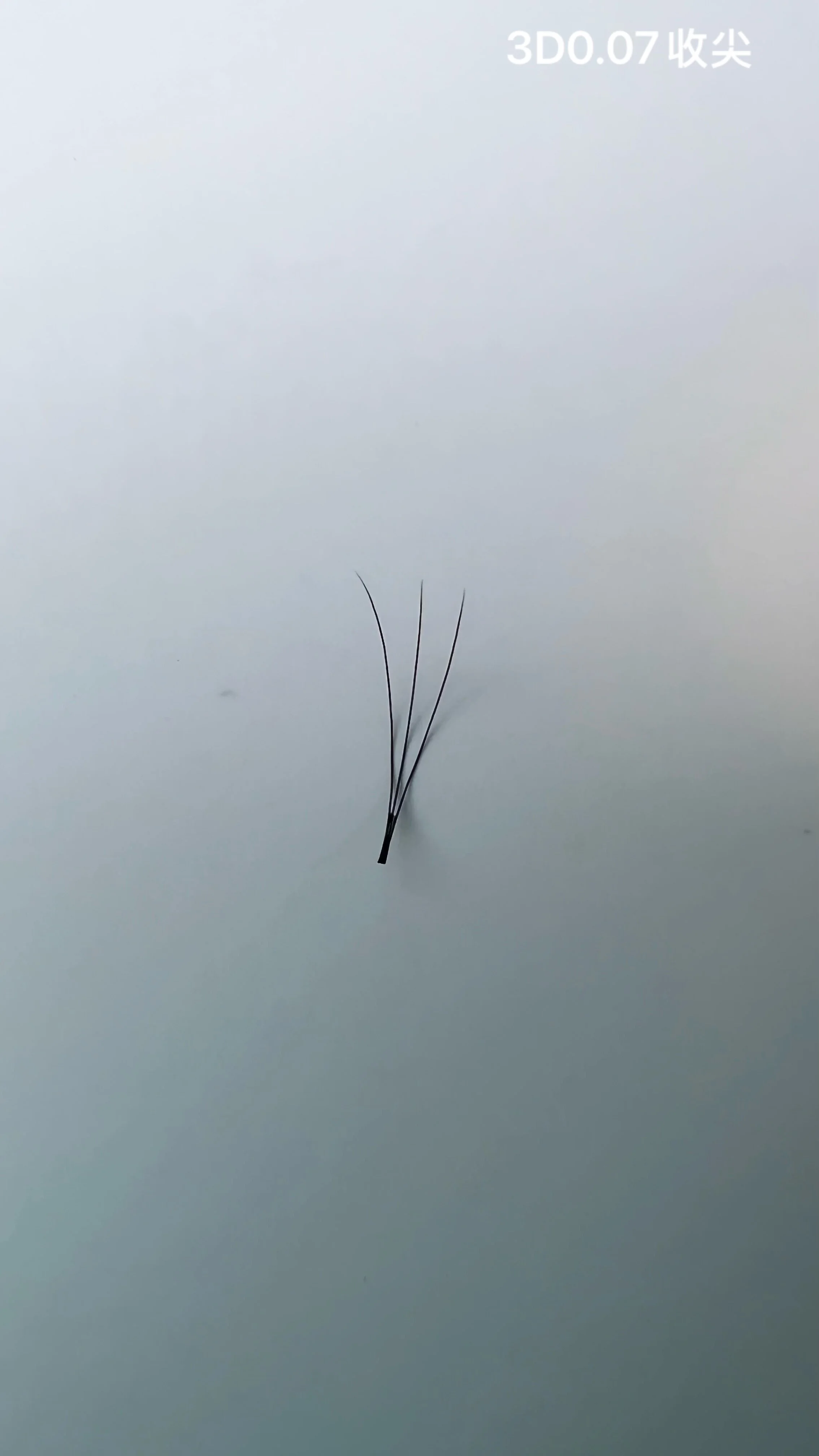 Jinyanhua Pointed Premade Fans 3D