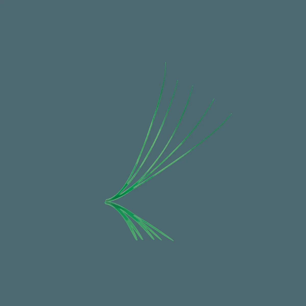 Emerald Green 5D ProMade Loose Fans - 0.07 - 475-530 Fans (FINAL SALE)