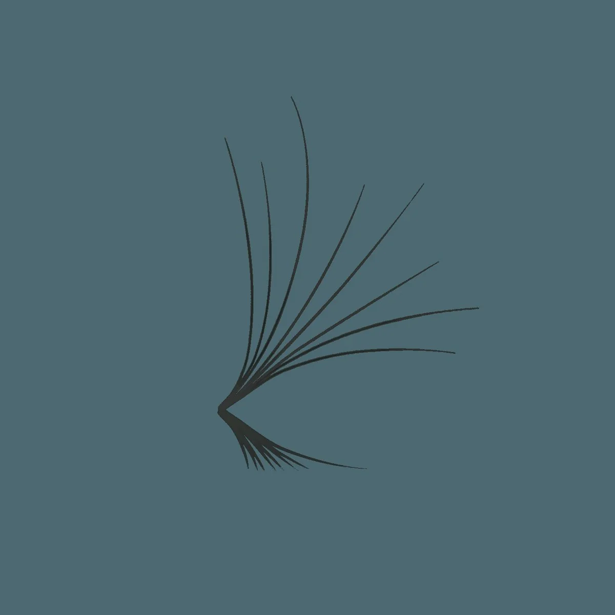 Camellia 8D Loose ProMade Fans - 0.05 (FINAL SALE)
