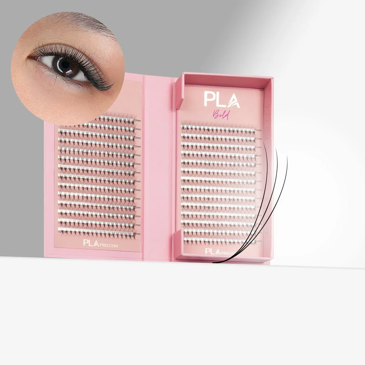 The BOLD Collection: 3D ProMade Fans