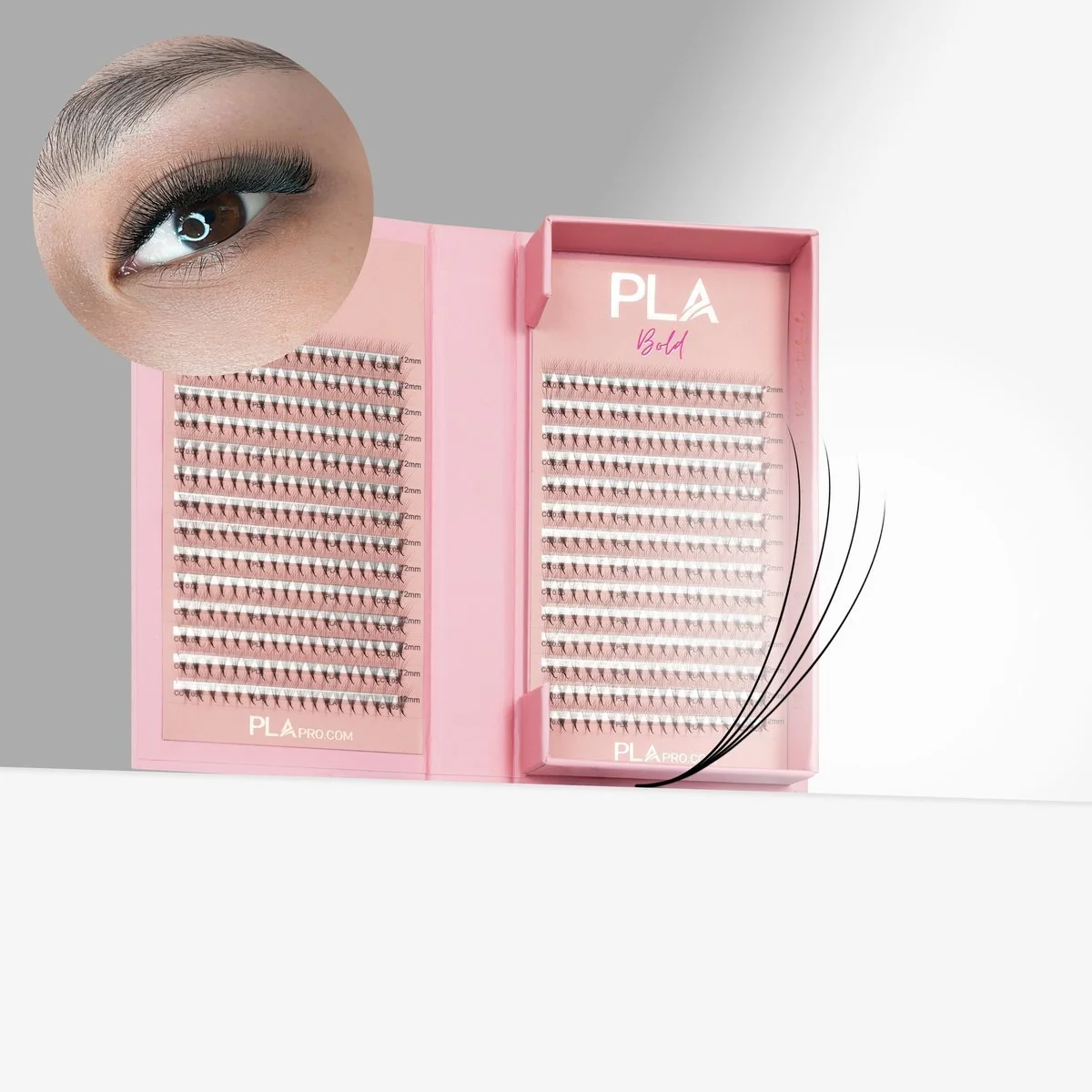 The BOLD Collection: 4D ProMade Fans
