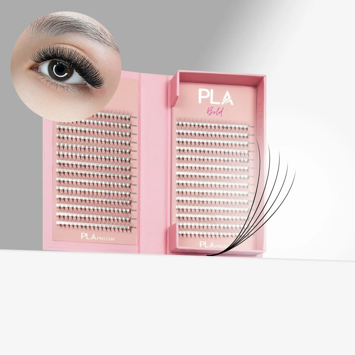 The BOLD Collection: 5D ProMade Fans