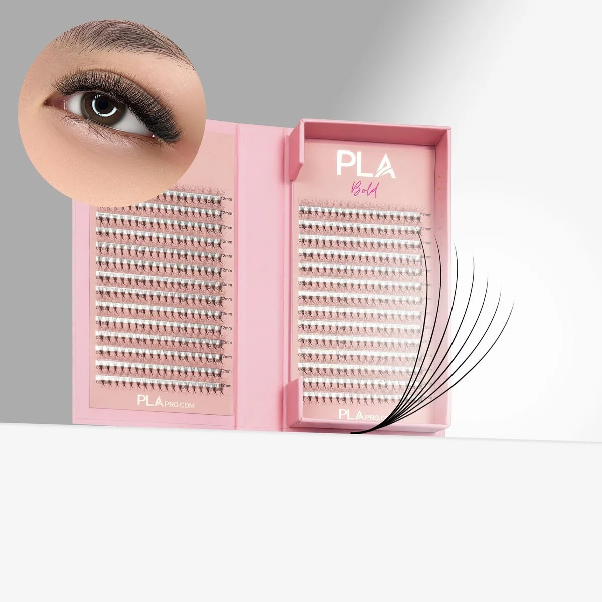 The BOLD Collection: 7D ProMade Fans